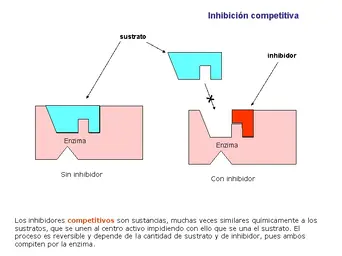 Diapositiva38.webp