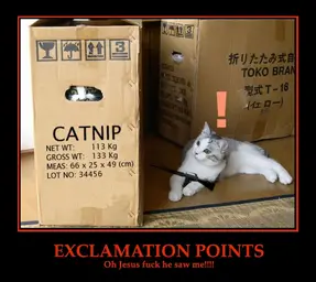 catboxmgs.webp