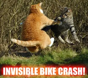 invisble_bike_crash.webp