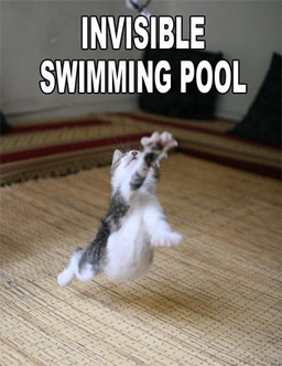 invisible-swimming-pool.webp