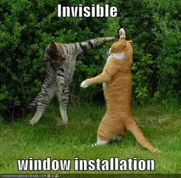 funny-pictures-cat-install-invisible-windows.webp