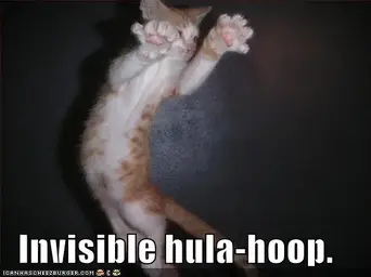 funny-pictures-invisible-hula-hoop-cat.webp