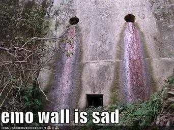 funny-pictures-emo-wall.webp