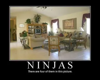 ninjas.webp