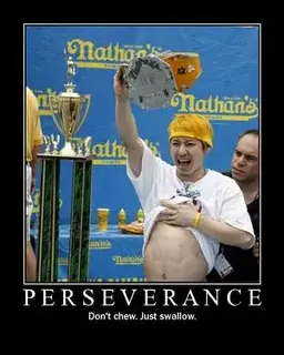 perseverance.webp