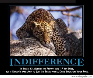 indifference.webp