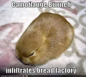 funny-pictures-bread-camoflauge-bunny.webp