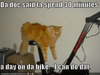 funny-pictures-cat-excercise-bike.webp