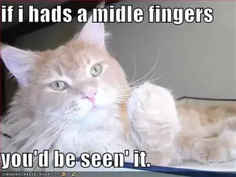 funny-pictures-cat-giving-finger.webp