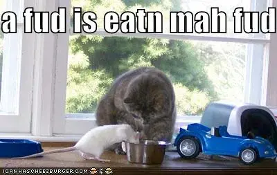 funny-pictures-cat-rat-food.webp