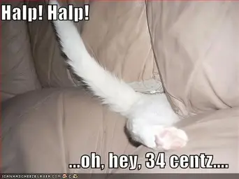 funny-pictures-white-cat-couch-crack-change.webp