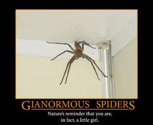 gianormous-spiders.webp