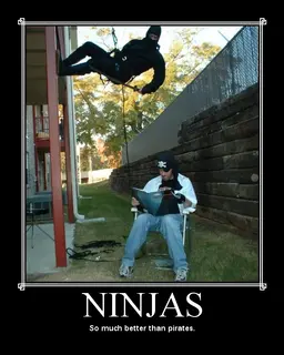 ninjas.webp