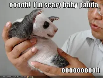 funny-pictures-scary-baby-panda.webp