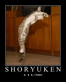 shoryuken.webp