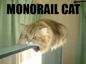 monorailcat.webp