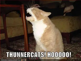 funny-pictures-thundercats-scream.webp