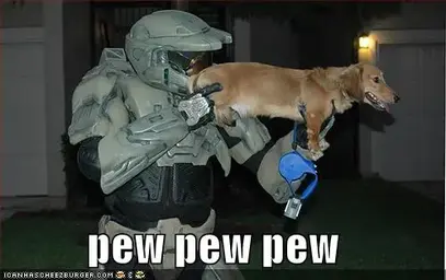 funny-pictures-halo-dog-pew.webp