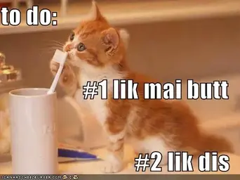 funny-pictures-orange-kitten-licks-toothbrush.webp