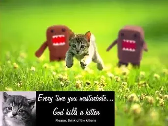 kills_kitteh.webp