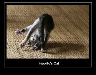 Hypolito's cat.webp