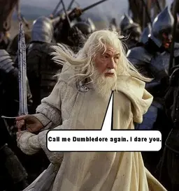 GandalfVSDumbledore.webp