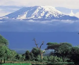 kilimanjaro.webp