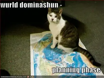 funny-pictures-your-cat-plans-world-domination.webp