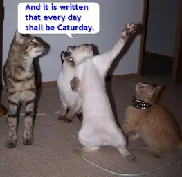 The_Great_Prophecy_of_Caturday.webp