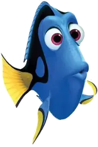 dori.webp