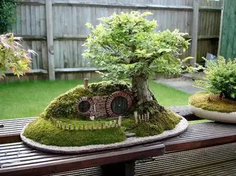 toca-bonsai.webp