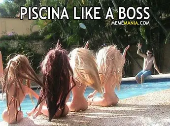 piscina-like-a-boss.webp