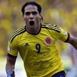 radamel-falcao-comemora-apos-marcar-para-a-colombia-no-duelo-contra-o-paraguai-em-barranquill...webp