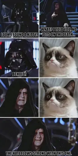 darthCat.webp