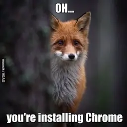 firefox.webp