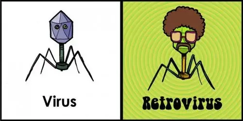 retrovirus.webp