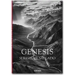 Genesis.webp