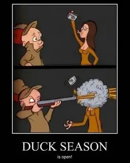 DUCKSEASON.webp