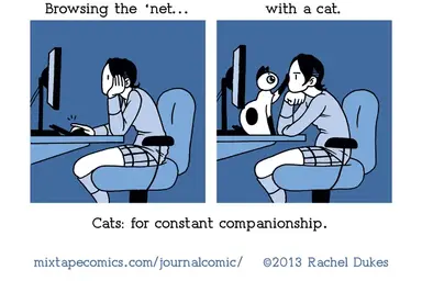 Rachel-Dukes-Cats-for-constant-companionship-comic.webp