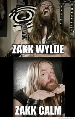 zakk-wylde-zakk-calm.webp