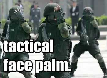 tactical_facepalm.webp