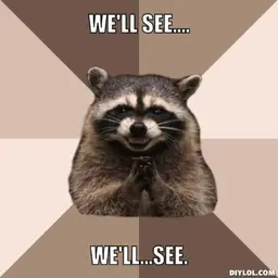 resized_evil-plotting-raccoon-meme-generator-we-ll-see-we-ll-see-db3c03.webp