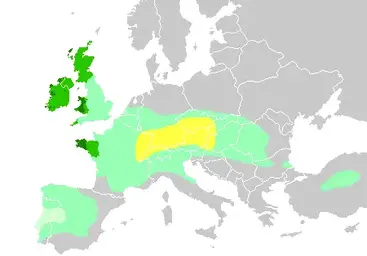 Celts_in_Europe.webp