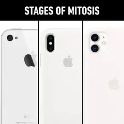 CELLphone-mitosis.webp