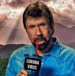 Chuck-Norris-coronavirus.webp