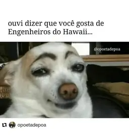 ouvi-dizer-que-voce-gosta-de-engenheiros-do-hawaii-opoetadepoa-18702111.webp