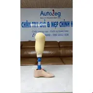 changiaautoleg